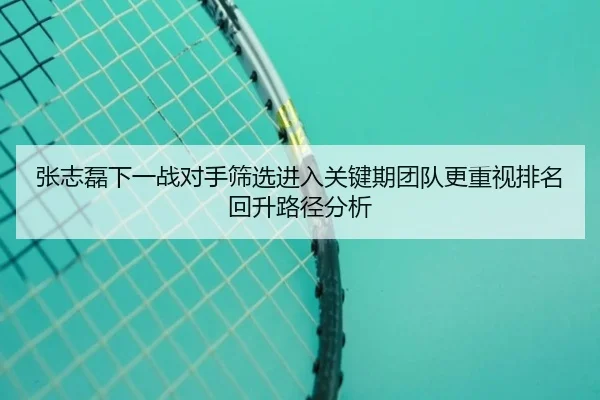 张志磊下一战对手筛选进入关键期团队更重视排名回升路径分析